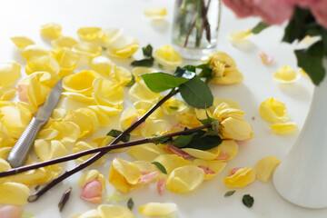 Pruning the stems of beautiful yellow flowers on a white table among flower petals