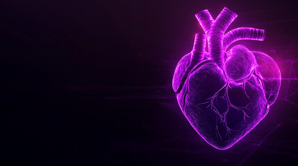 Human heart on a black background in purple and orange neon lines - banner - copy text