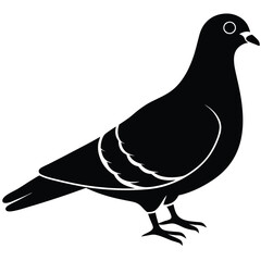 Pigeon vector shilhouette bundle Set Collection