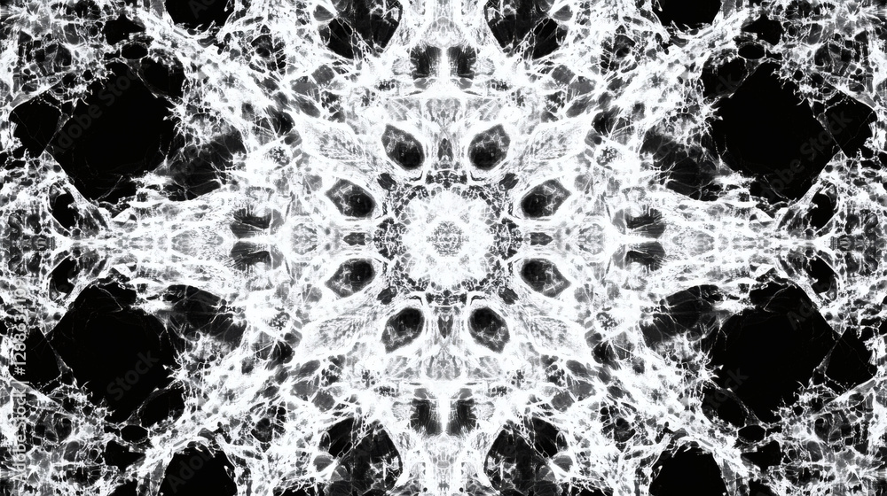 Poster A monochromatic abstract design featuring intricate patterns radiating from a central point, creating a visually striking kaleidoscopic effect