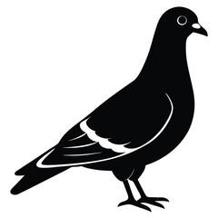 Pigeon vector shilhouette bundle Set Collection