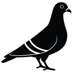 Pigeon vector shilhouette bundle Set Collection