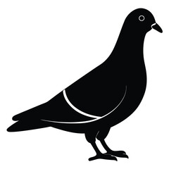 Pigeon vector shilhouette bundle Set Collection