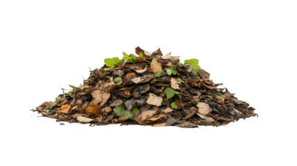 Pile of colorful autumn leaves on a warm plaid blanket, cozy fall scene