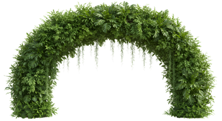 Lush green foliage arch isolated on a transparent background. home decoration.
