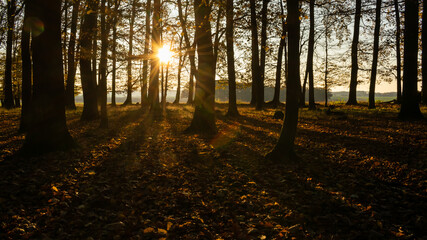 Naklejka premium calm autumn day at sunset