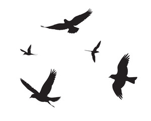 Flock of flying birds silhouette vector, Flying bird black silhouette vector set