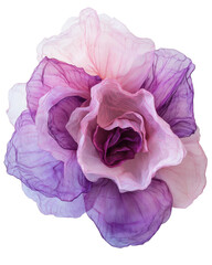 Purple flower with delicate petals