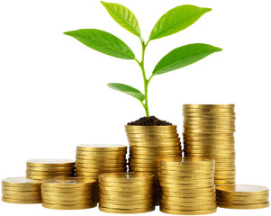 Pile of Coins with a Growing Plant on Top Symbolizing Financial Growth, Isolated on a Transparent Background, PNG format