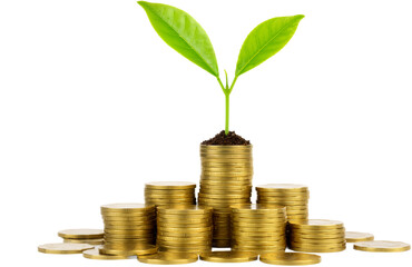 Pile of Coins with a Growing Plant on Top Symbolizing Financial Growth, Isolated on a Transparent Background, PNG format