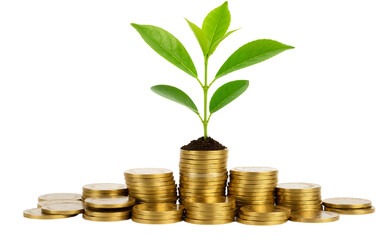 Pile of Coins with a Growing Plant on Top Symbolizing Financial Growth, Isolated on a Transparent Background, PNG format