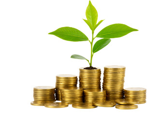 Pile of Coins with a Growing Plant on Top Symbolizing Financial Growth, Isolated on a Transparent Background, PNG format