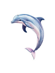 Obraz premium Dolphin jumping out of the water against a clear blue sky in a coastal environment isolated on transparent background.