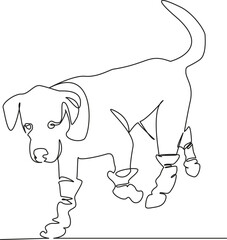 One continuous single drawing line art flat dog, pet, boot, animal, cute, puppy, walk, shoe, breed. Isolated image hand draw contour on a white background, hand drawn, not AI