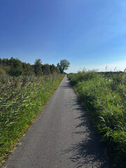 Bicycle path around De Deelen in Friesland