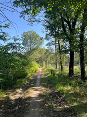 Bicycle path around Beesterzwaag