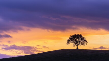 Obraz premium Lone tree silhouetted against a colorful sunset sky.