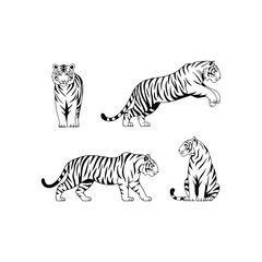 Tiger Set Silhouette With white background