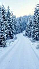 Fototapeta premium A tranquil winter landscape with a winding snowy path, calm, evergreen, frosty
