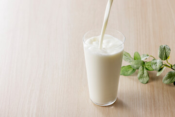 グラスに注いだ牛乳　Milk in a glass