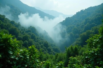 Fototapeta premium Dense foliage with smoke rising from vegetation, flora, mist