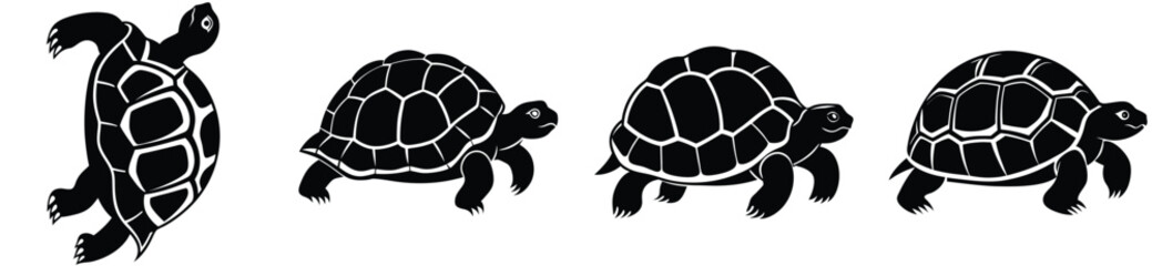 Tortoise vector shilhouette bundle. Tortoise vector set icon.