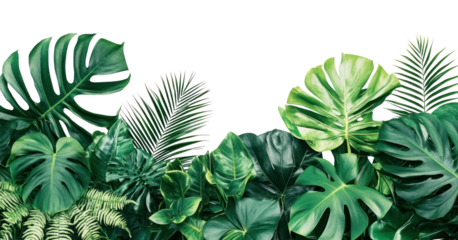 PNG Plants green background tropical.