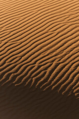 Merzouga desert Morocco sand dunes