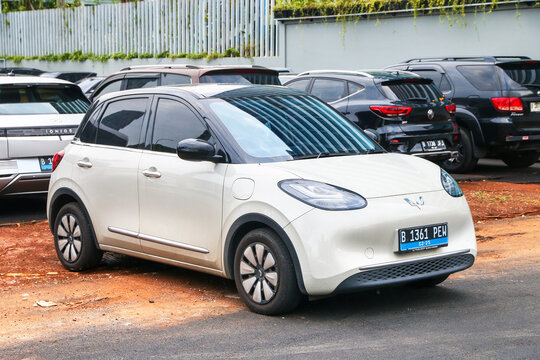 Wuling Binguo EV