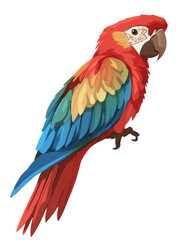 Obraz premium Colorful parrot perched on a black background creating a striking visual contrast and vibrant appearance isolated on transparent background.