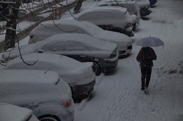 Moment of storm with strong wind and heavy snowfall on the street, a the walks continue, Sofia, Bulgaria  