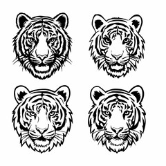 tiger vector illustration