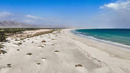 Explore the unique landscapes of Socotra Nature featuring sandy beaches and turquoise waters