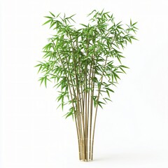 Obraz premium Lush Green Bamboo Plant Displaying Natural Beauty and Serenity