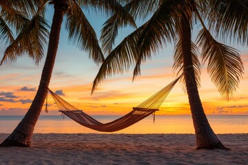 Tranquil Sunset Between Palm Trees with a Sandy Beach View