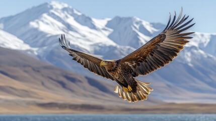 Naklejka premium Mountain Eagle Soaring Above Lake