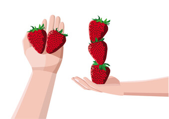 strawberry in hand on white background illustration vector