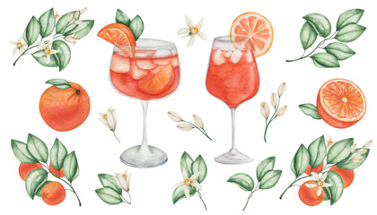 Watercolor illustration. Set of cocktails and oranges. Hand painted aperol spritz in glass with orange citrus fruit, ice, green leaves, flowers. Cold alcohol drink. Aperitif. Juice. Isolated clip art