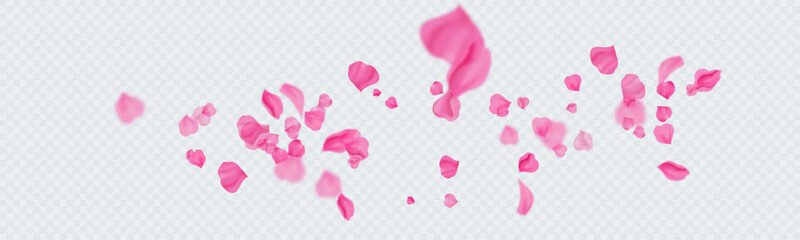 Falling petals of roses, sakura. Colorful petals swirl in a chaotic flow. Vector illustration.
