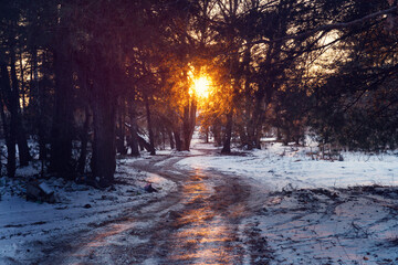 Evening time on the Kyiv Sea at wintertime, Ukraine