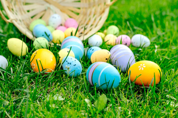 Happy Easter. Basket with Easter eggs in grass on a sunny spring day - Easter decoration, banner, panorama, background with copy space for text