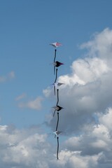 row of kites in the sky at  Portsmouth International Kite Festival July 2024