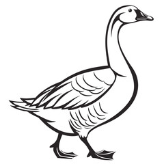 Obraz premium Swan vector art and illustration 