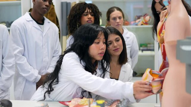 Medical students studying human anatomy model