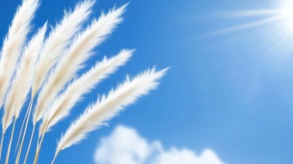 A bright blue sky serves as a backdrop for tall, fluffy white grasses swaying gently in the sunlight.
