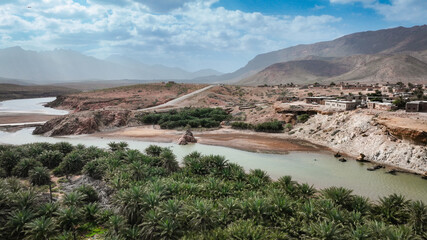Exploring the unique landscapes and vegetation of Socotra Island in Yemen during the daytime