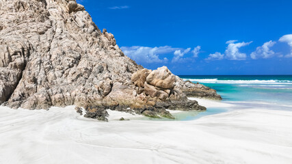 Explore the stunning beaches and unique rock formations of Socotra Island