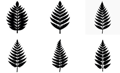 stylized fern leaf silhouettes on white background. © md manik hossain