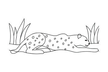 Cheetah Line Drawing, Wild Cat, African Savannah, Grass, Coloring Page © Rita