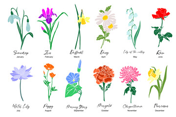 Botanical set of garden floral plants. Gorgeous snowdrop, daffodil, iris, rose, poppy, marigold, lily flowers isolated on white background. Colorful vector art illustration, birth month flowers.
